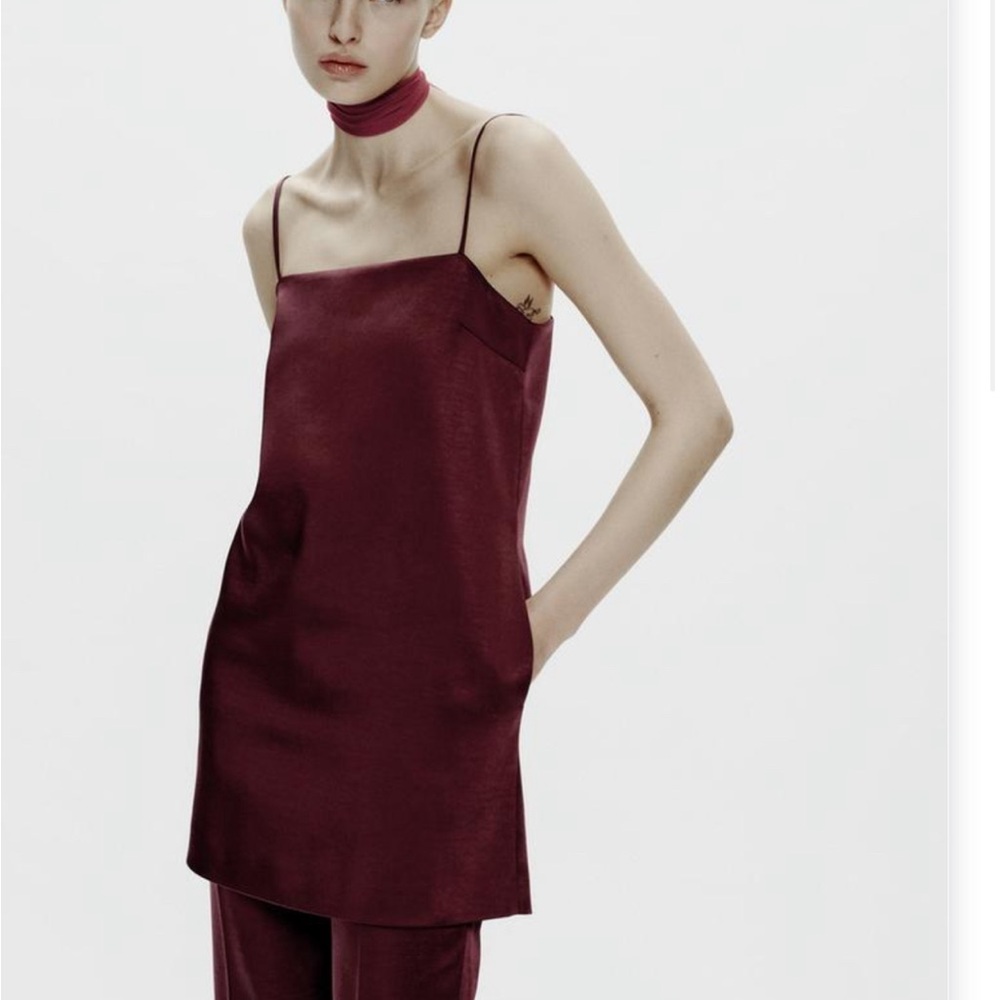 Zara Burgundy Slip Dress